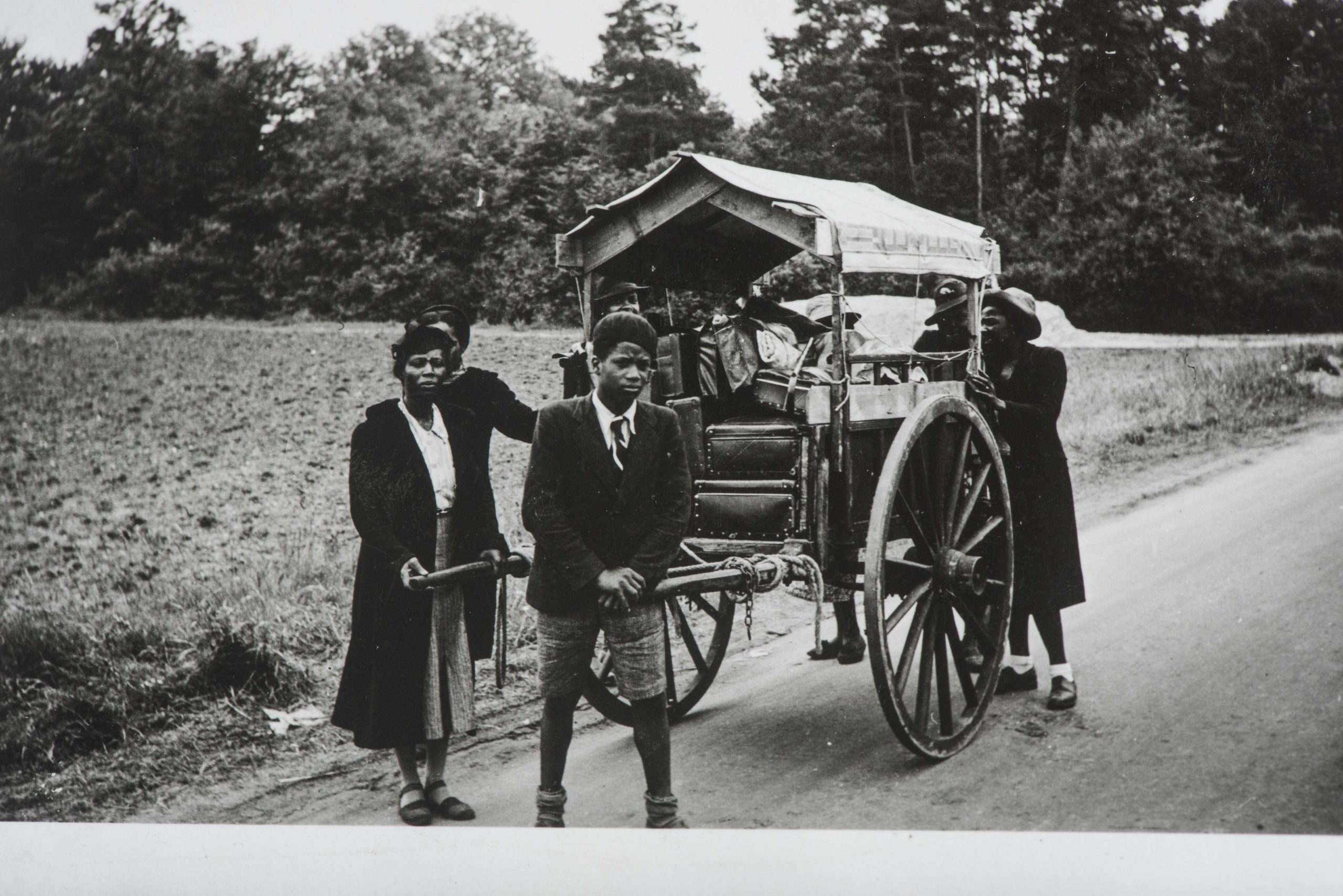 fjm_56636